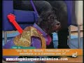 Rodolfo Chikilicuatre, Chiquilicuatre