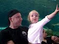 Aquarium 2.wmv