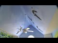 Bed and Breakfast for Sale Canada, Quebec, Laurentians, Mont-Tremblant