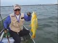 Ayrton pesca - Programa de pesca - Dourado
