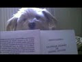 zelda poupette lit Gabriel Effléor