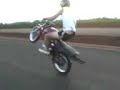 Quejinho empinando