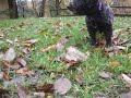 DSCF1195