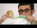 Go-To & Unito