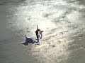 Running On The Beach With Pumpkin