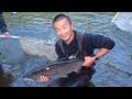 Tagging and recapturing coho salmon