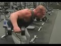 The Bent Over Dumbbell Lateral by www.building-muscle101.com The Bent Over Dumbbell Lateral by www.building-muscle101.com