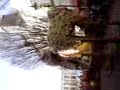 choy lee fut lion dance in nuneaton