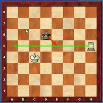 chess knight