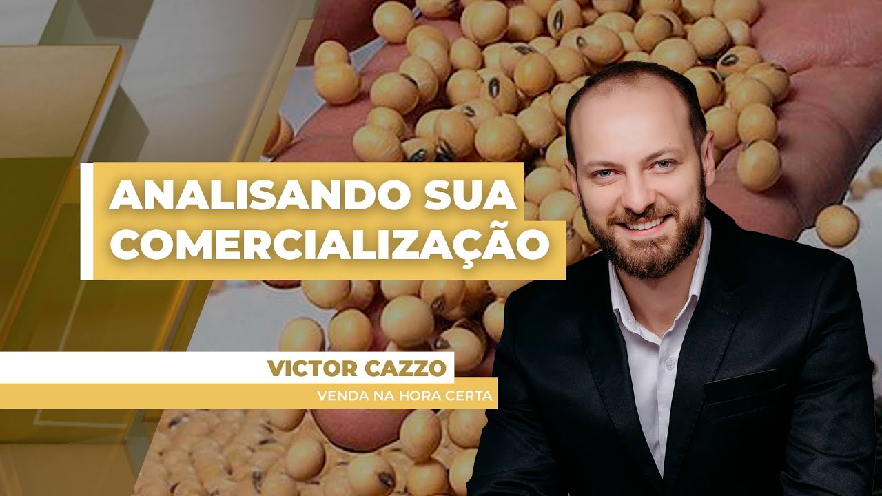 Analisando Sua Comercialização: Preços têm variado forte entre as principais regiões produtoras ...