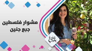 مشوار فلسطين - جبع جنين - حلوة يا دنيا مشوار فلسطين - جبع جنين - حلوة يا دنيا