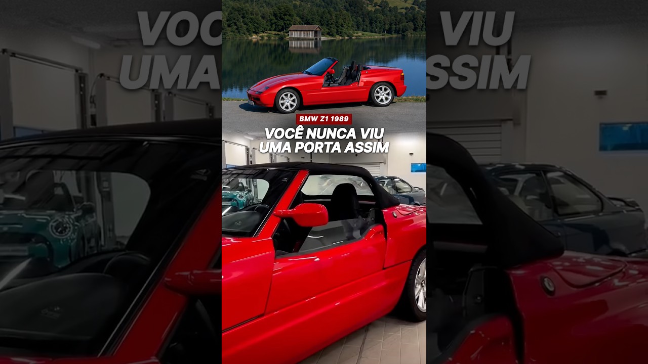 Você nunca viu uma porta assim
