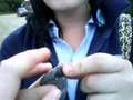 videos de Lauren's Rock