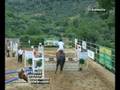 Sociale M.S.Biagio cat B100 M.Odalisca di Don Vincenzo