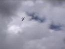 Pedro aeromodelismo RC