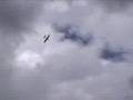 Pedro aeromodelismo RC