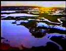 Pantanal - Chamada de Estreia 1990