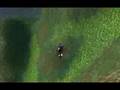 Western Tirisfal Glades - Kung's Path ( World of Warcraft )
