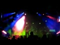 The Heavy Pets performing