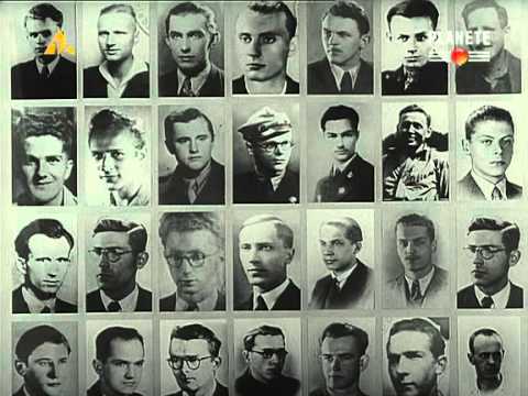 Grupy Szturmowe Szare Szeregi PL