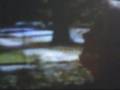 videos de A Naley Love Story