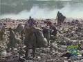 O Problema ambiental em Maring�