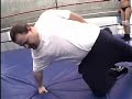 Onyx goes after the Ref
