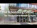 arturo schomburg biography arturo schomburg biography
