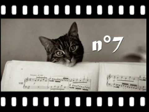 quizz cinéma musique classique