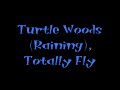 Crash Bandicoot 2 Cortex Strikes Back Soundtrack - Turtle Woods (Raining), Totally Fly