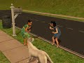 Sim-Wolf Blooper 1