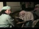 The Cavernous Vagina of Oz Troma The Cavernous Vagina of Oz Troma