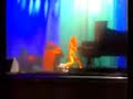 tori-amos-caught-a-lite-sneeze-salt-lake-city-2007.html