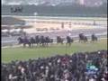 2008 小倉大賞典 KOKURA DAISHOTEN