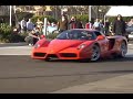 Ferrari Enzo Ferrari Enzo