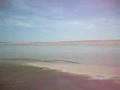 La baie de lotis