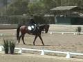Colonel Grimm and Beneto Training Level Test 2