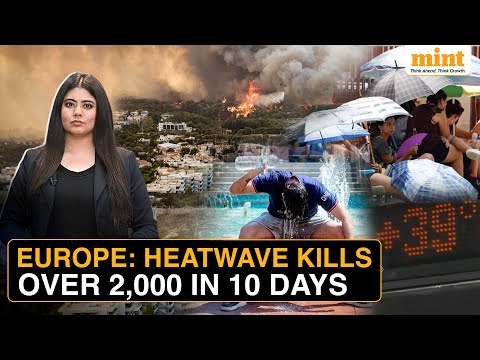 Study Reveals Europe Heatwave Killed 2,300 People In 10 Days | Climate Change Still Not Real?
