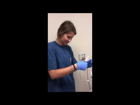NLRC prep carrie larson