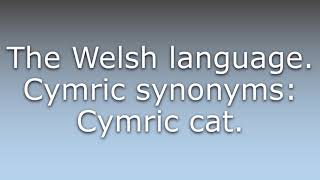 What does Cymric mean?