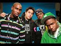 new joint by fly society