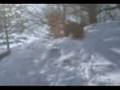 Hot Snowboard action