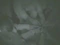 Glass Divining 1 - Paranormal Activity Glass Divining 1 - Paranormal Activity