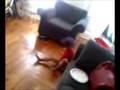 Baby break dancing!