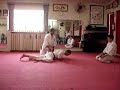 Demonstra��o de Aikido no N�cleo 7 Esferas Do Tao