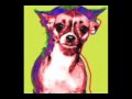 Here Come the Shivering Chihuahuas Here Come the Shivering Chihuahuas