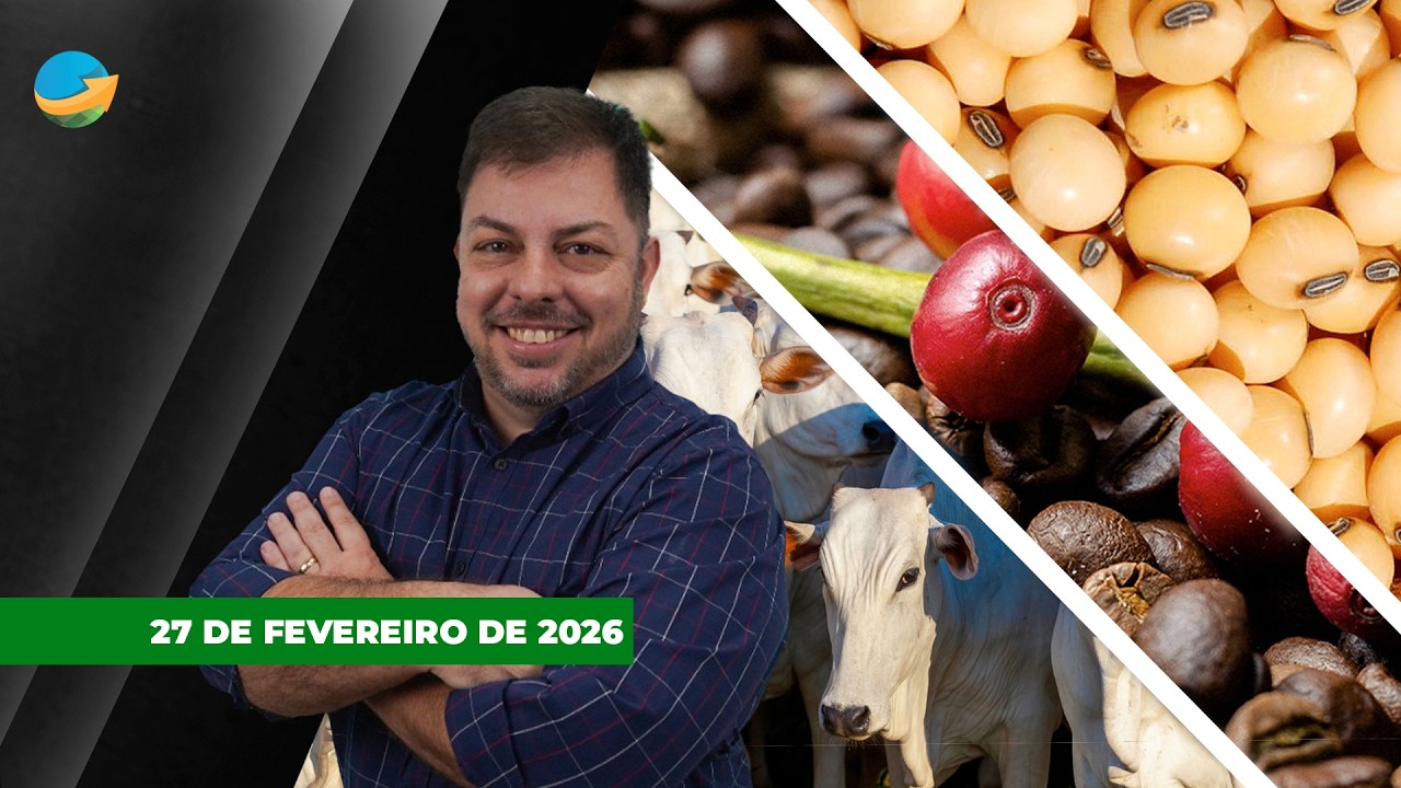 Soja sobe com apoio do trigo e boas expectativas com demanda americana; café perde força com...