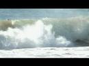 Bodysurfing Narrabeen Australia