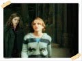 Hermione Granger Love("v")