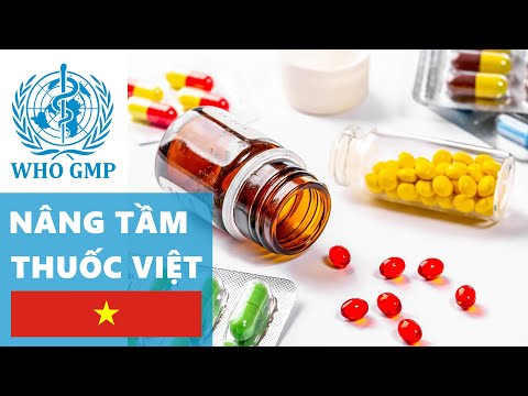 GMP WHO: Global-standardization Vietnam Pharmaceutical 